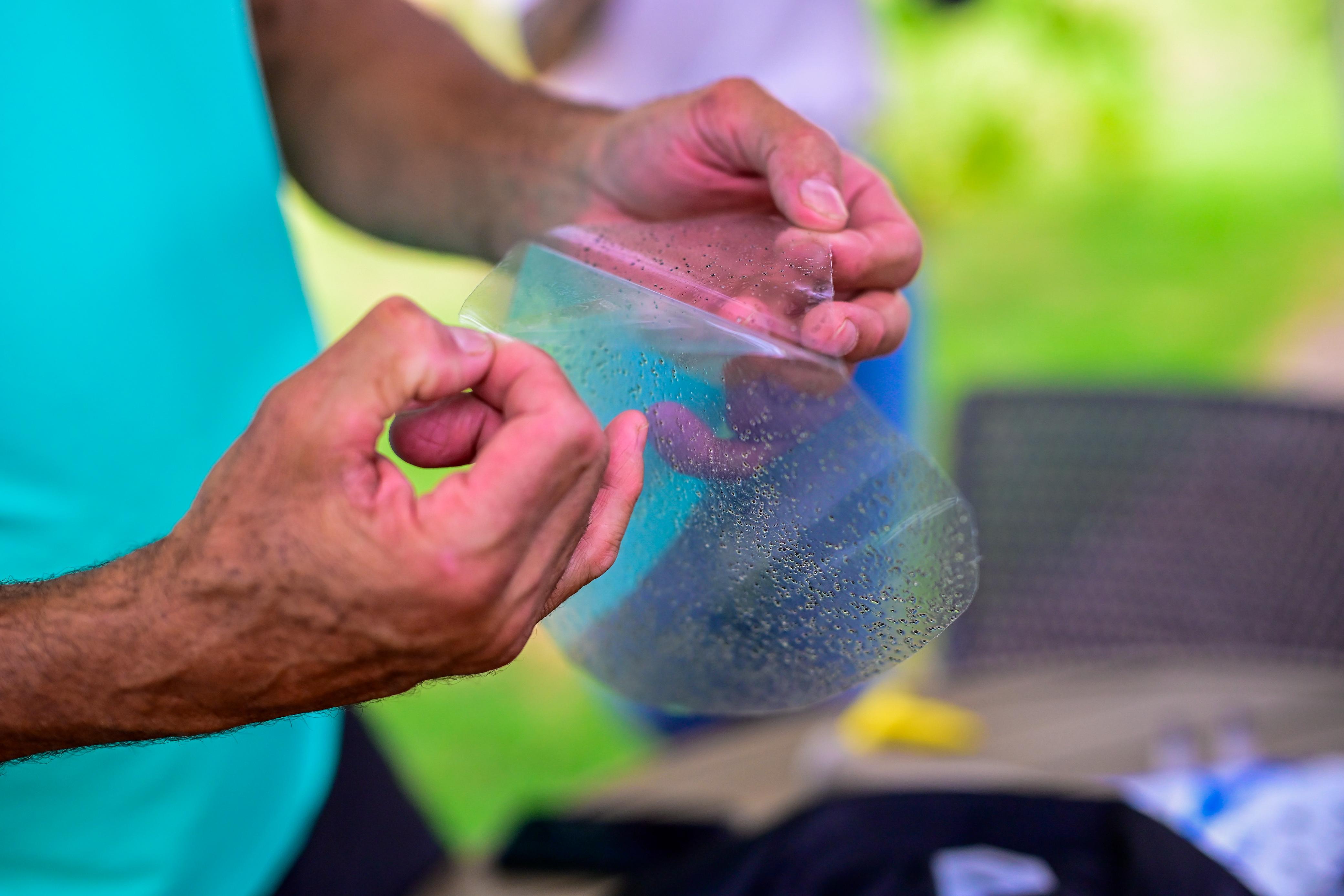 Raquete proteção película aplicação #4